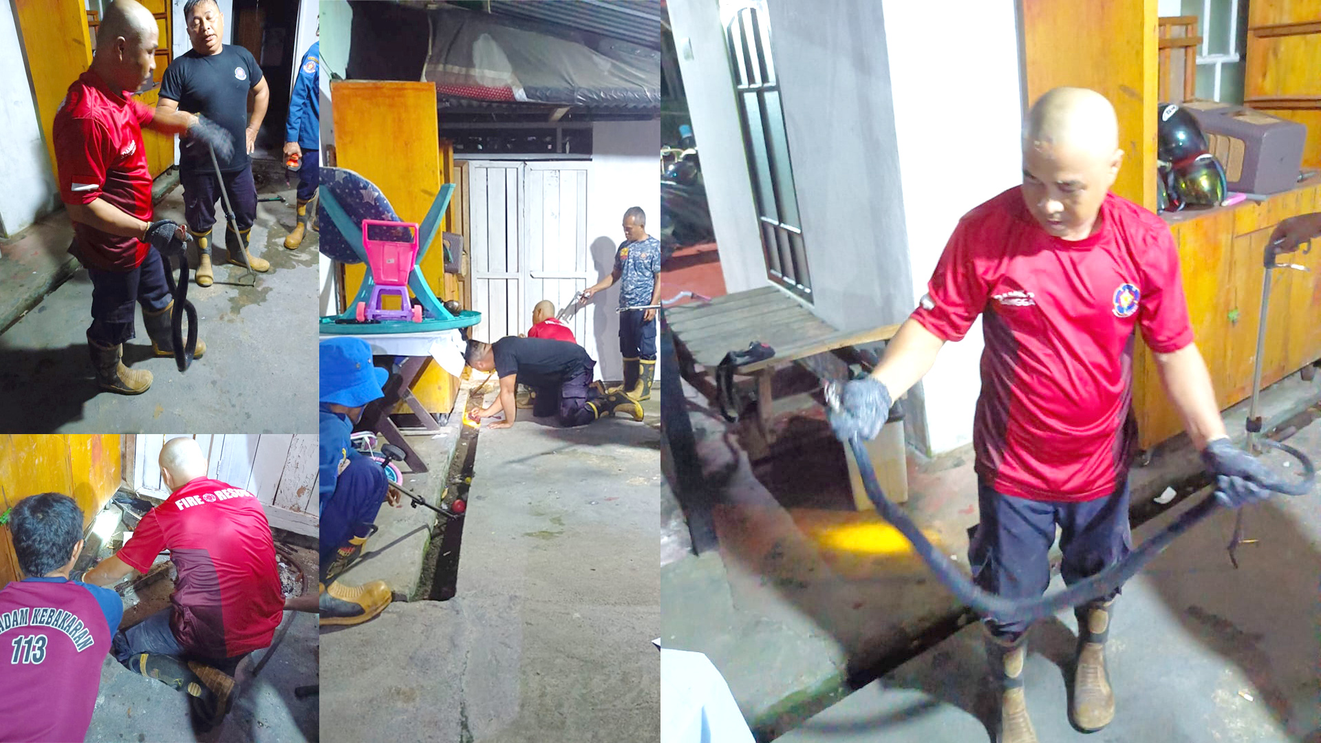 🐍 Evakuasi Ular King Cobra di Sanggau: Aksi Sigap Damkar Selamatkan Warga dari Ancaman Mematikan