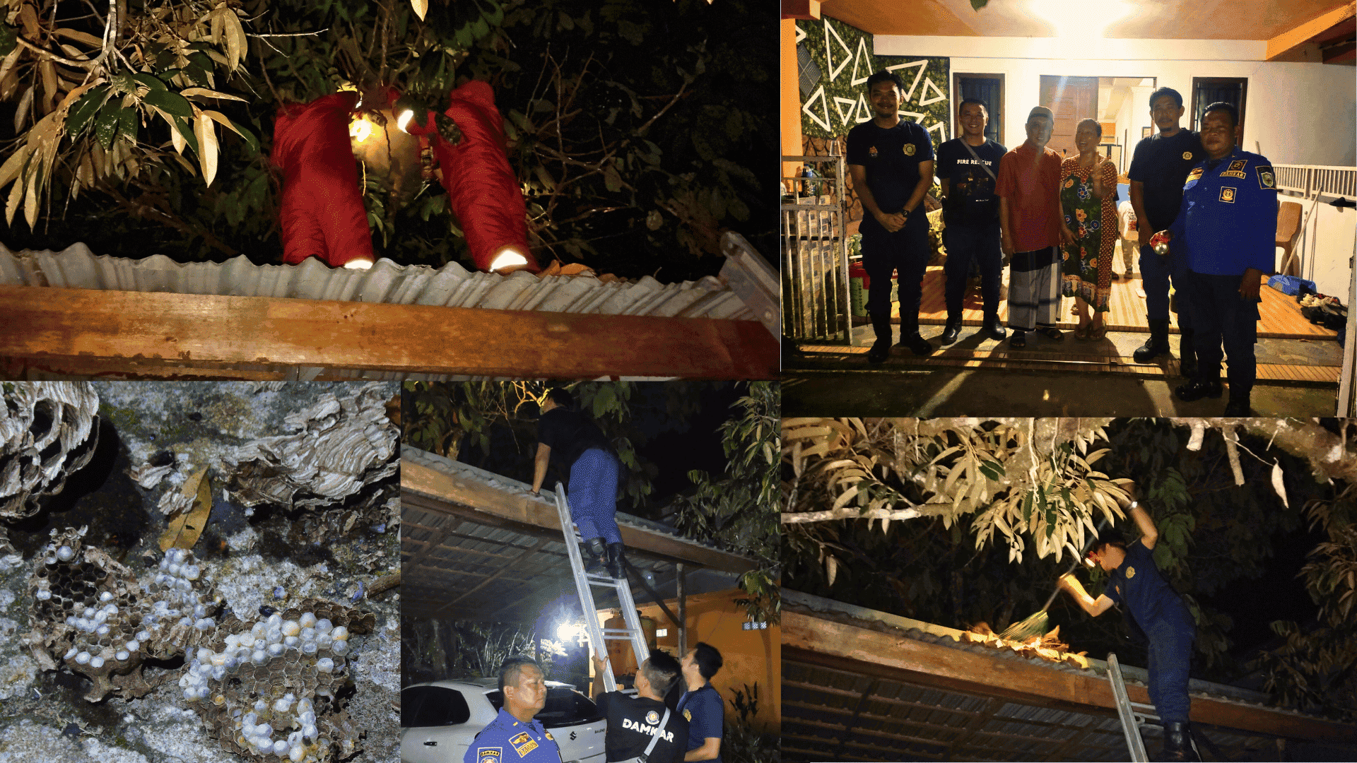 Aksi Heroik Damkar Di Malam Hari, Taklukan Sarang Tawon Vespa Di Pekarangan Rumah Warga